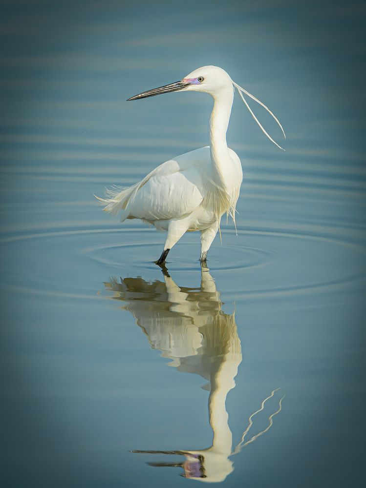 Photograph by Andrea Barlotti