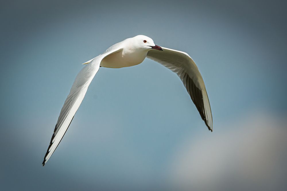 Photograph by Andrea Barlotti