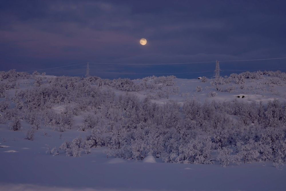 Photograph by Ольга Одаренко