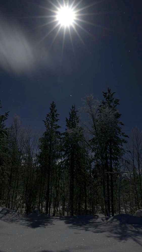 Photograph by Ольга Одаренко