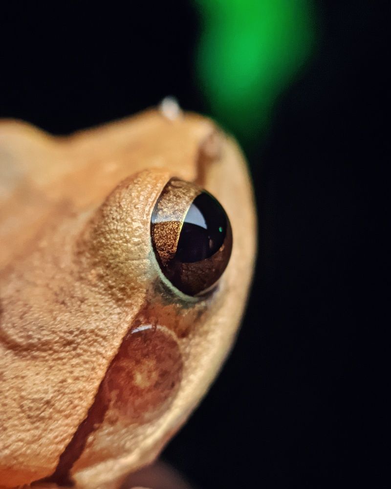 Photograph by Nomesh Patel