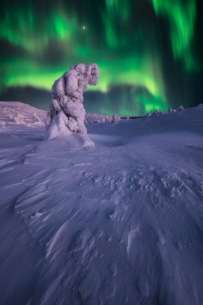 Photograph by Aharon Amram