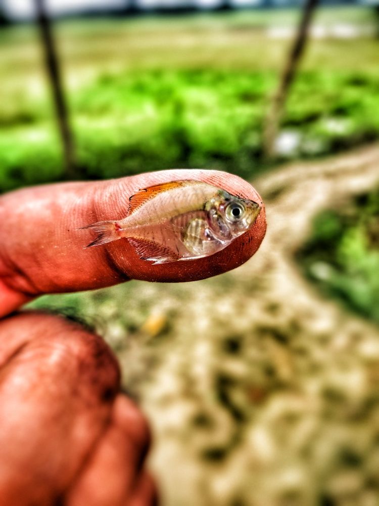 Photograph by Kundan kumar