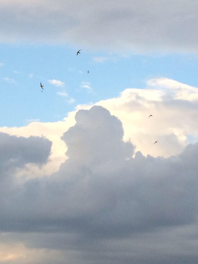 Photograph by Антонина Михалева