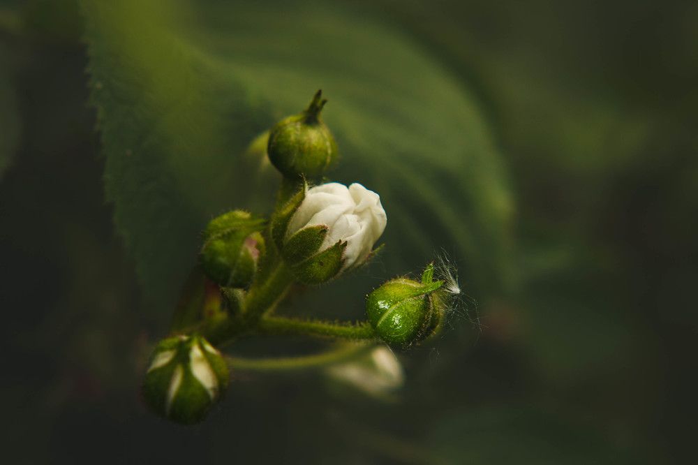 Фотография автора Ирина Гриценко