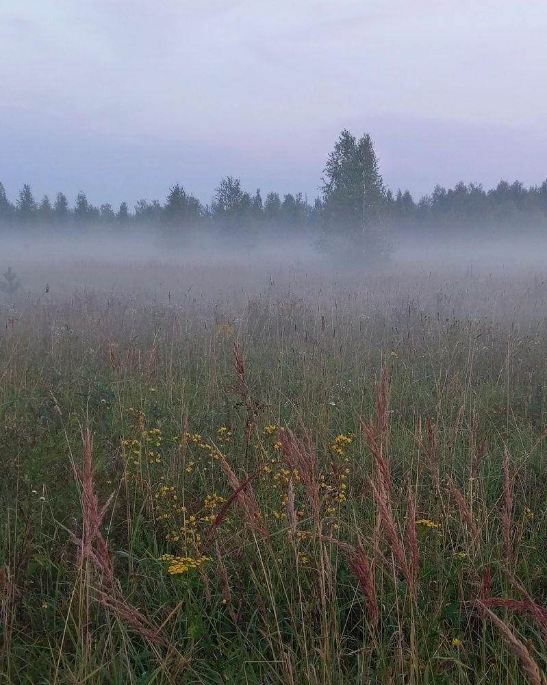 Photograph by Петр Поспелов