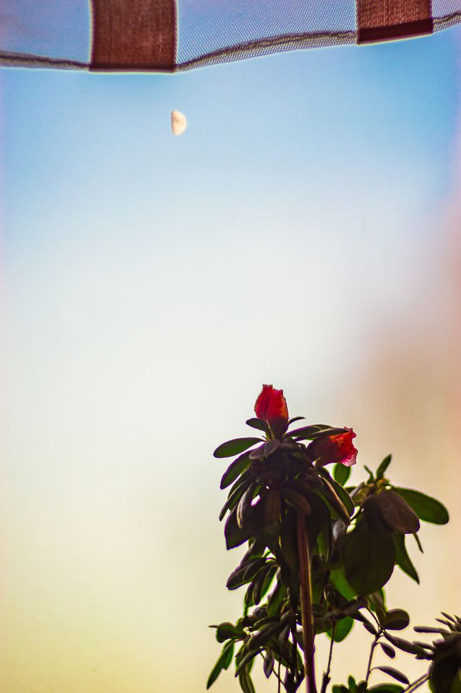 Photograph by Артём Александрович