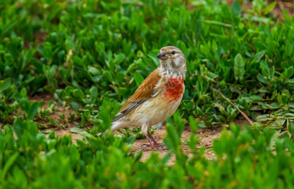 Photograph by Марина Фонарёва