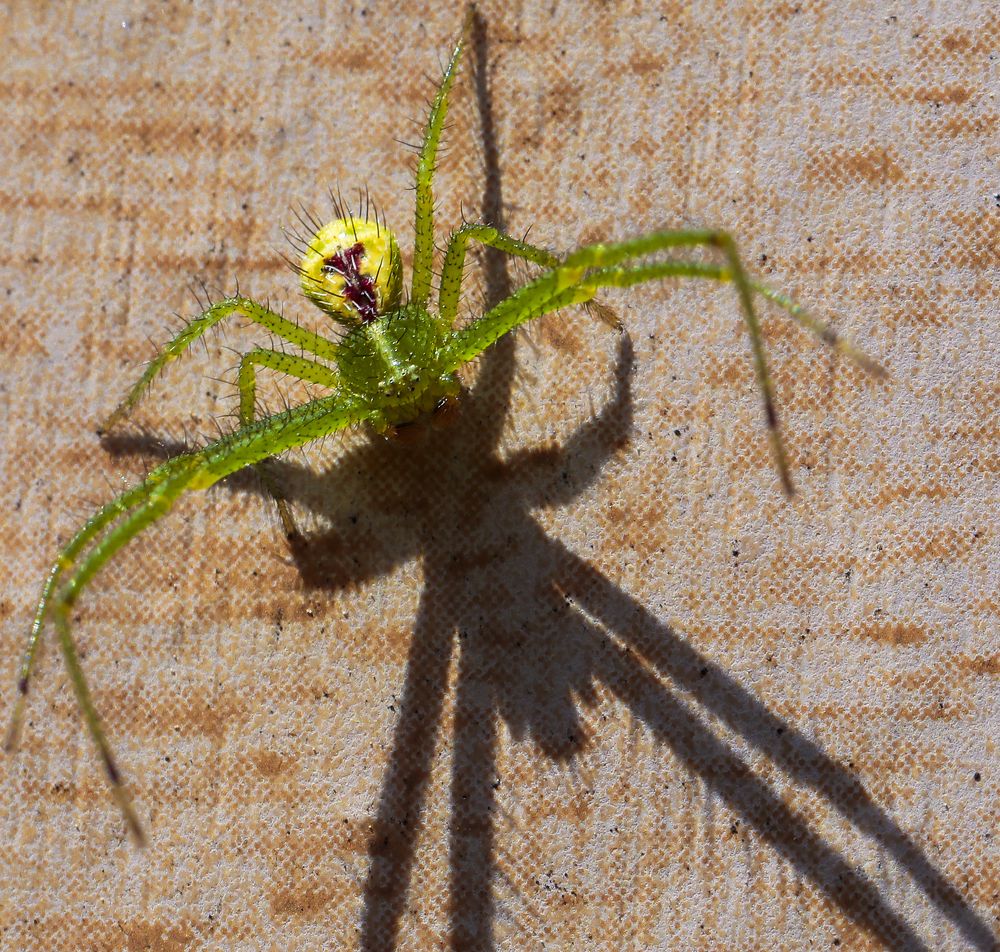 Photograph by Мария Ирешева