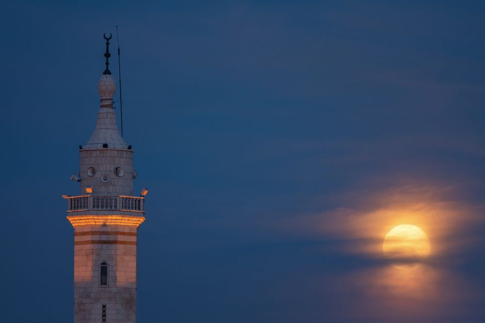 Photograph by Seif Eddine Alaa