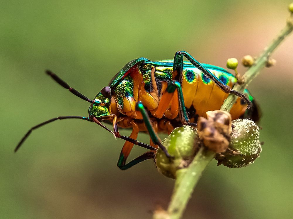 Photograph by syed aamir