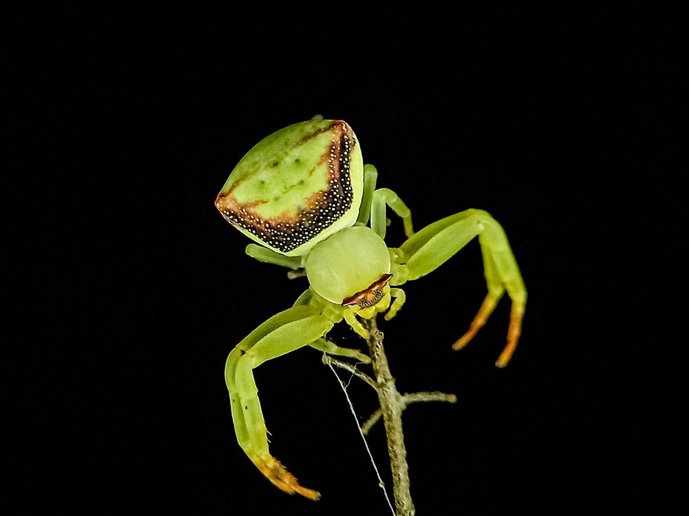 Photograph by syed aamir