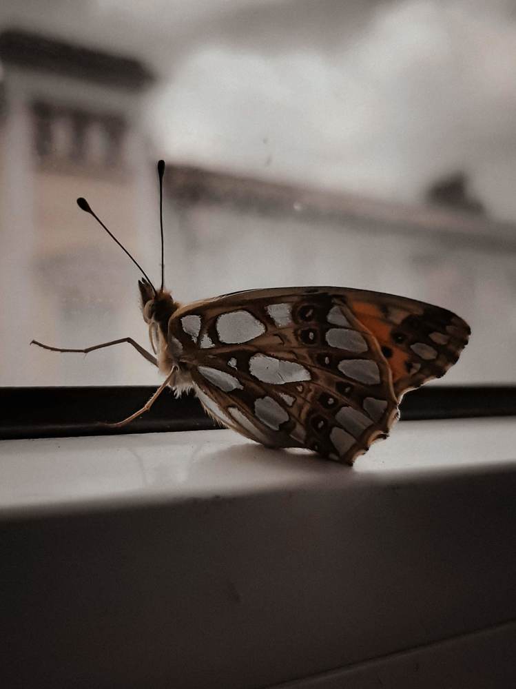 Фотография автора Даниил Барченко