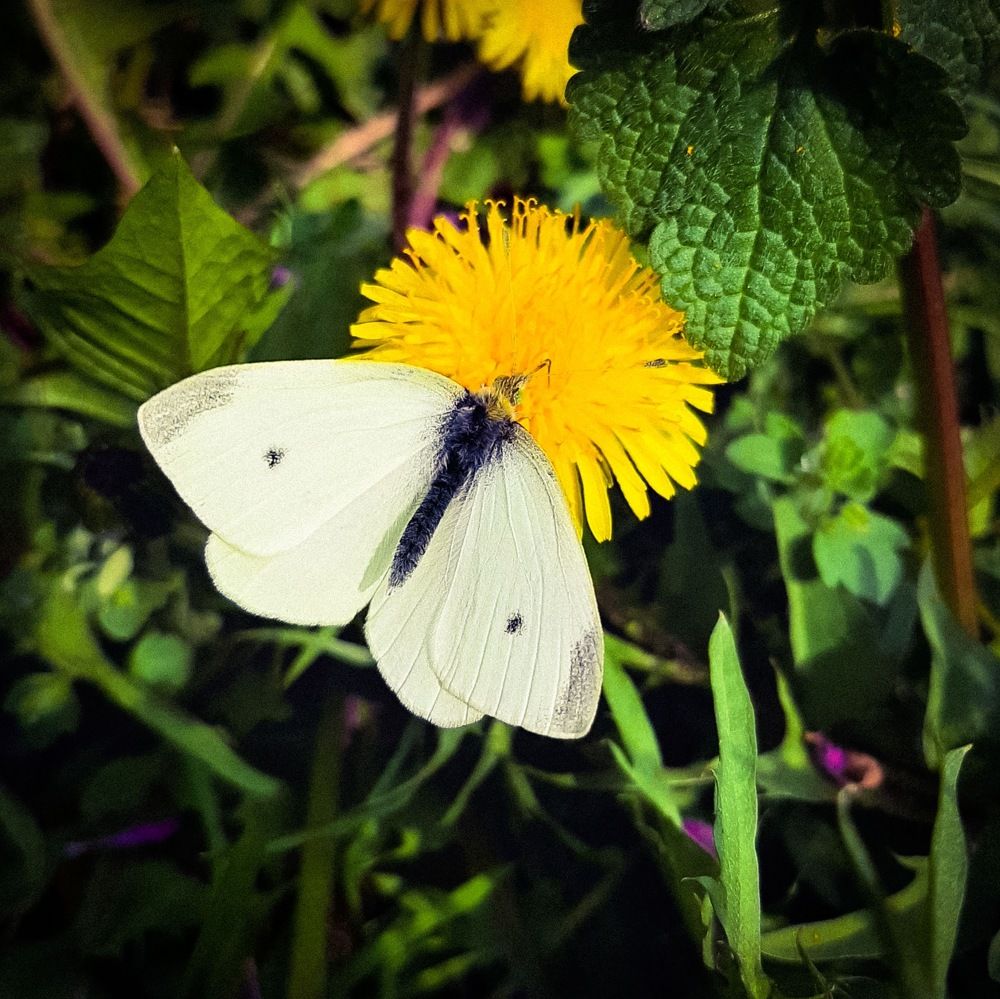 Фотография автора Даниил Барченко