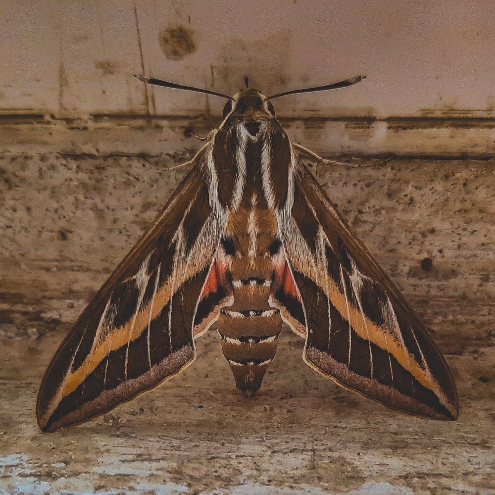 Фотография автора Даниил Барченко