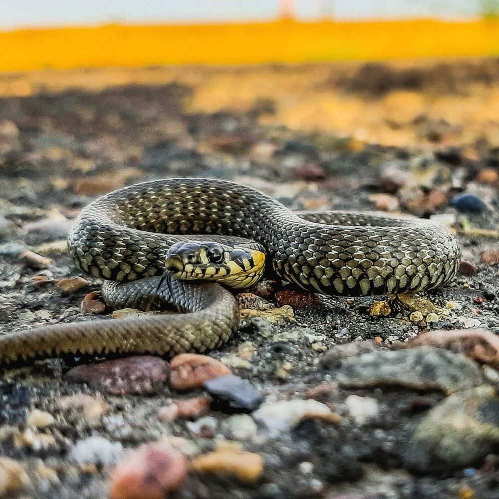Photograph by Даниил Барченко