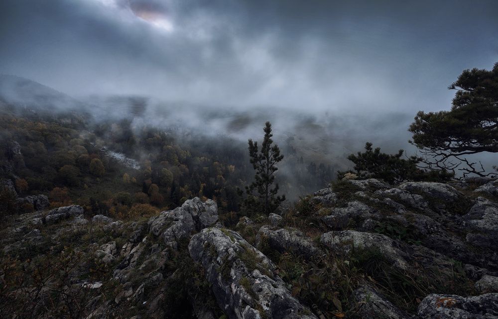 Photograph by Юрий Головченко