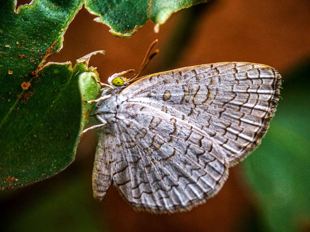 Photograph by syed aamir