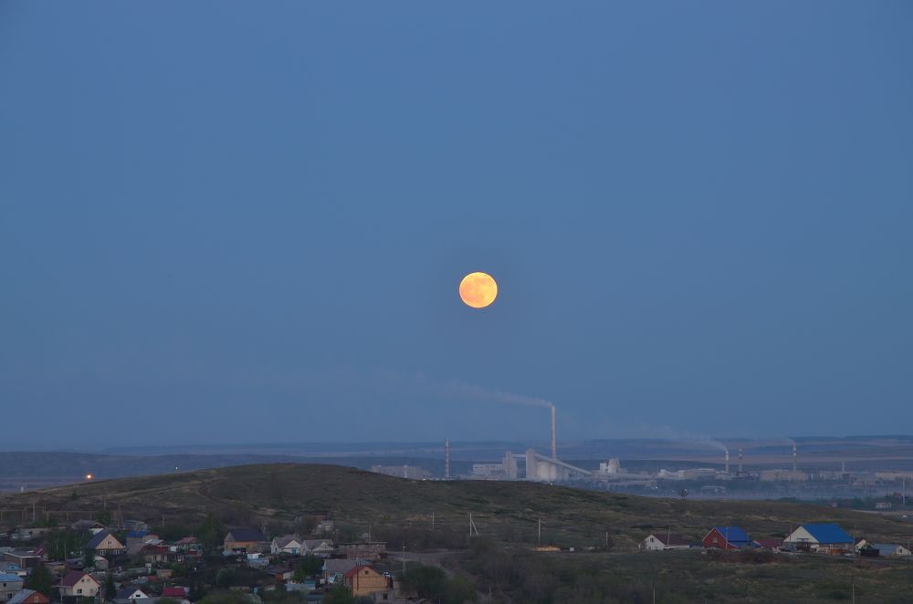 Photograph by Ольга Айдагулова