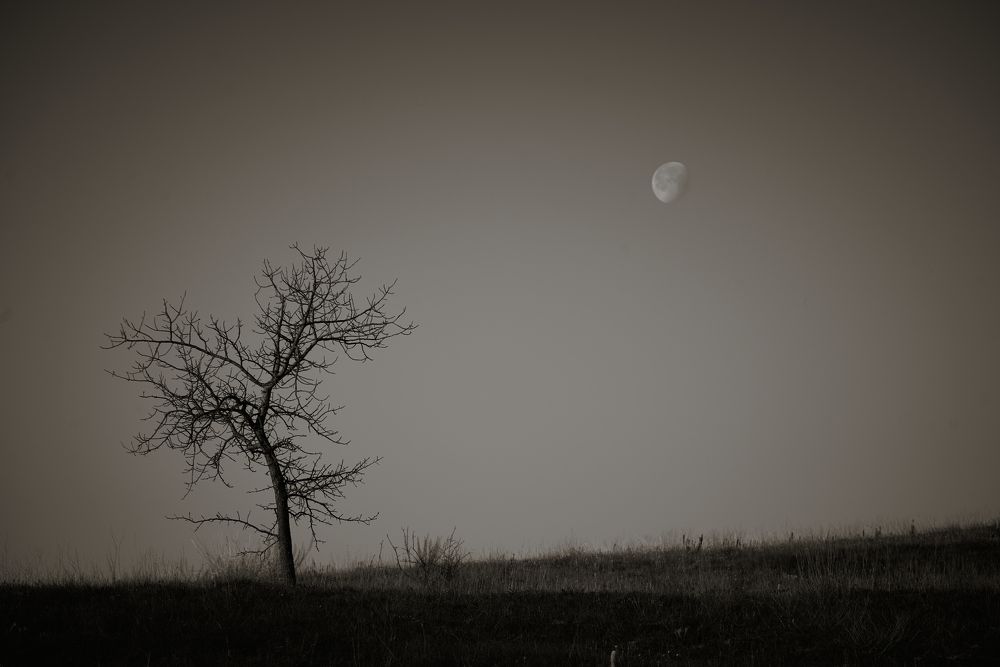 Photograph by Артем Колосов