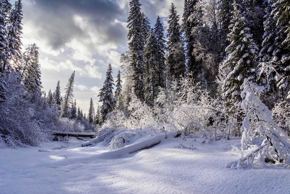 Фотография автора Oleg Matronitskiy