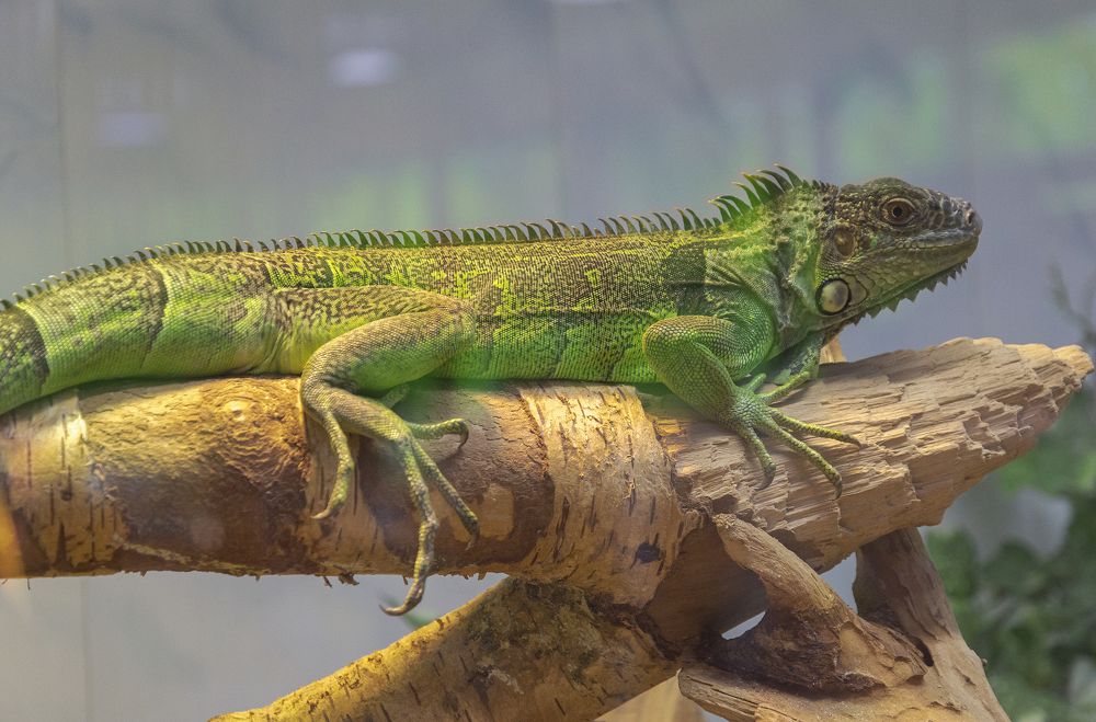 Photograph by Светлана Мельник