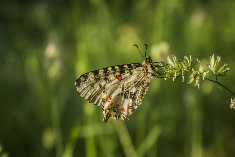 Photograph by iliya levkov