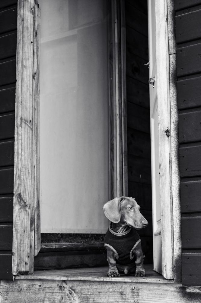 Photograph by Karla Makuc