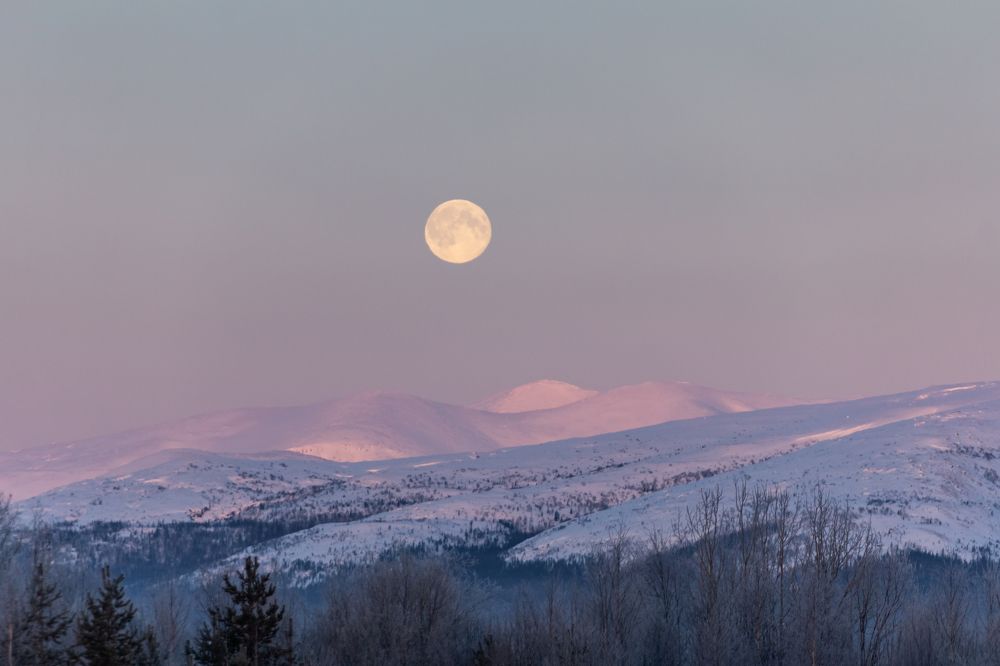 Photograph by Николай Гущин