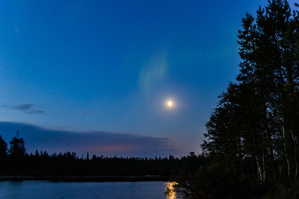 Photograph by Николай Гущин