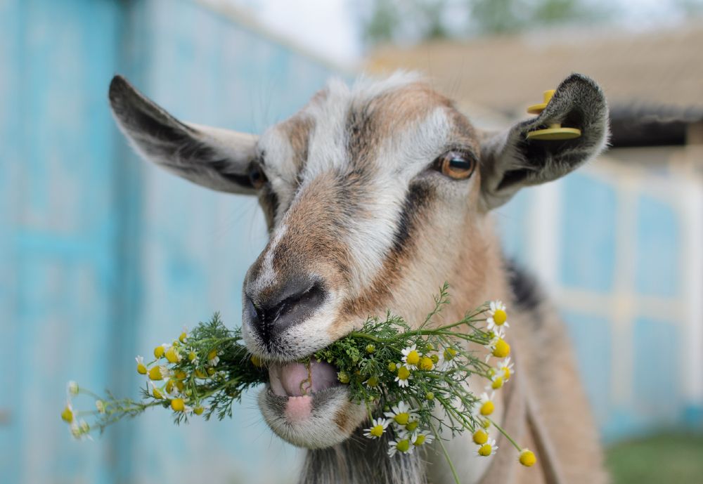 Photograph by Александр Белянский