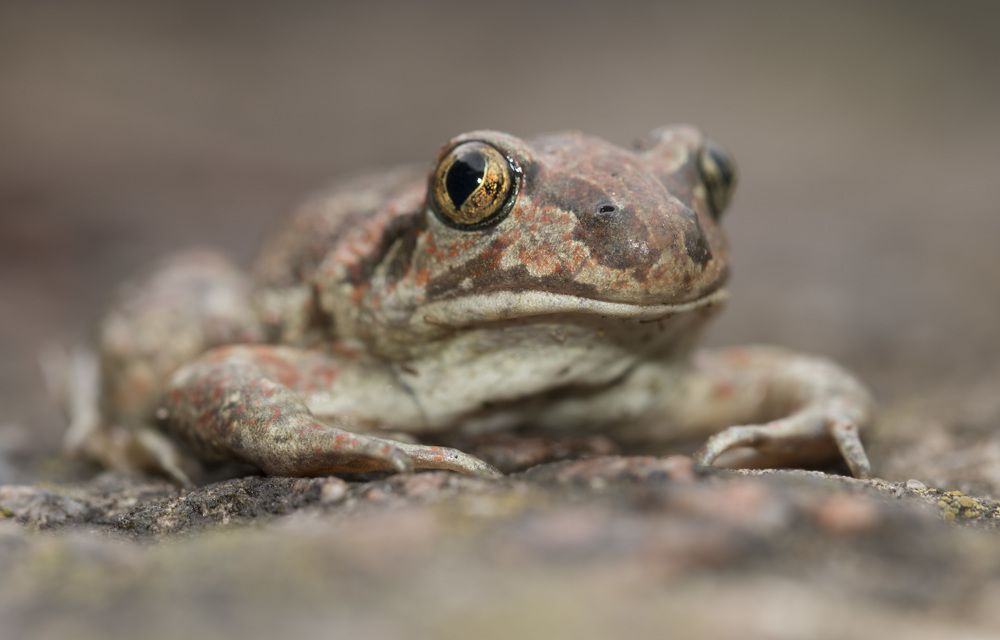 Photograph by Анна Татаренко