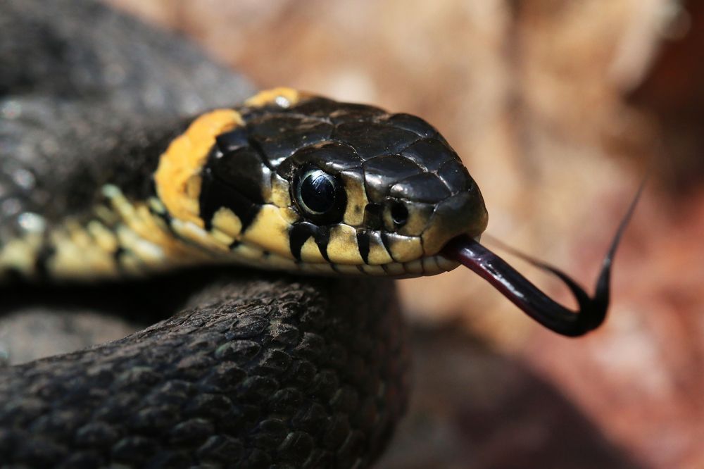 Photograph by Анна Татаренко