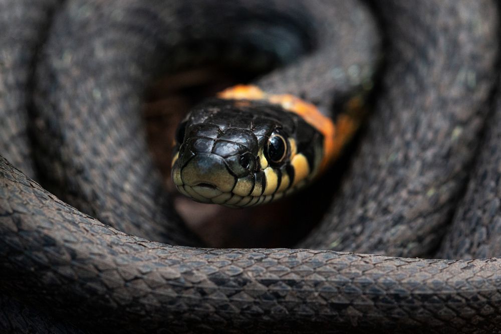 Photograph by Анна Татаренко