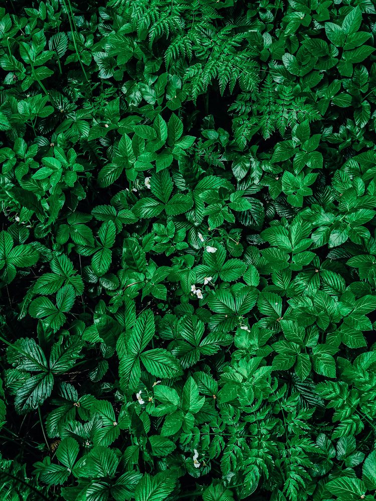 Photograph by Дарья Овчинникова