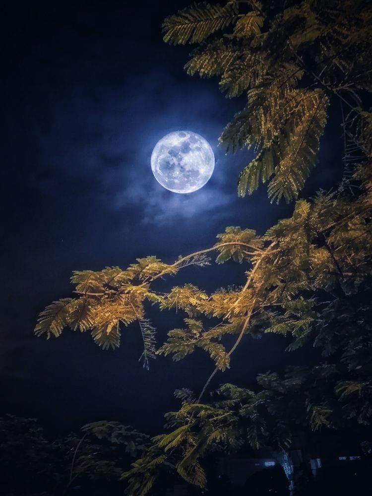 Photograph by Namesh Rao