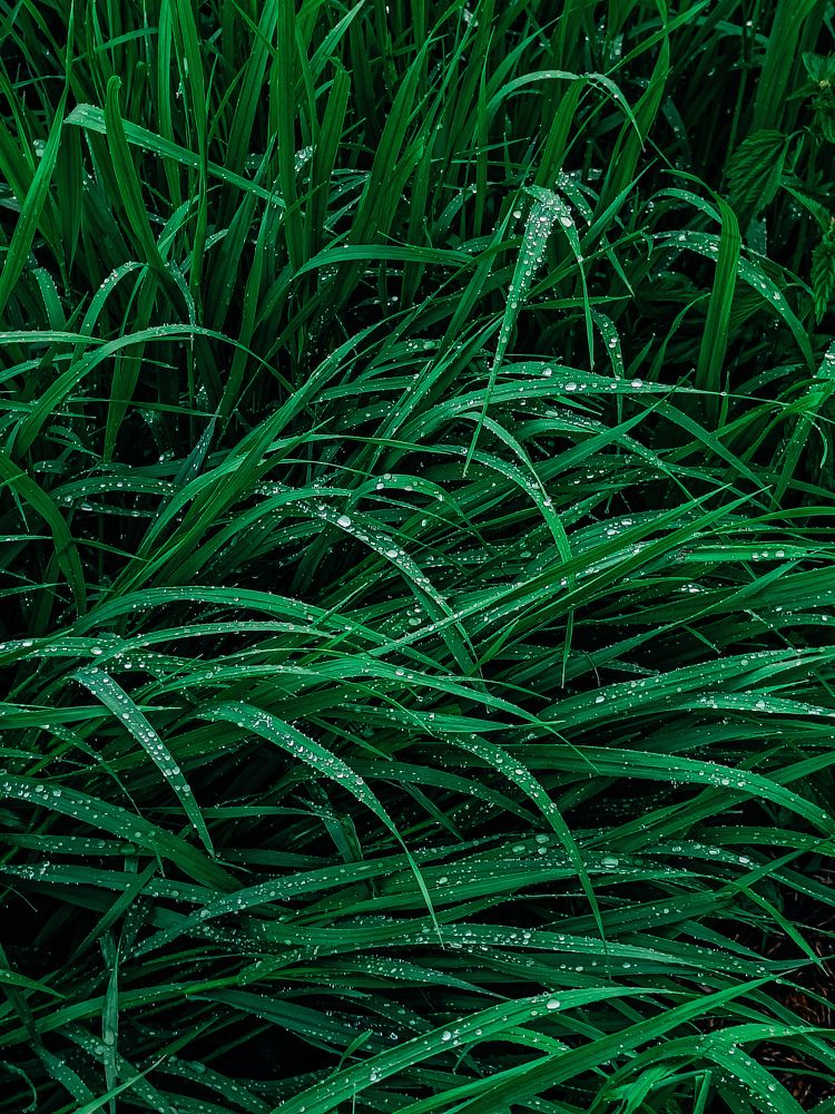 Photograph by Дарья Овчинникова