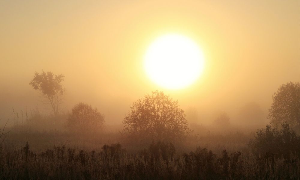 Photograph by Инна Карасева