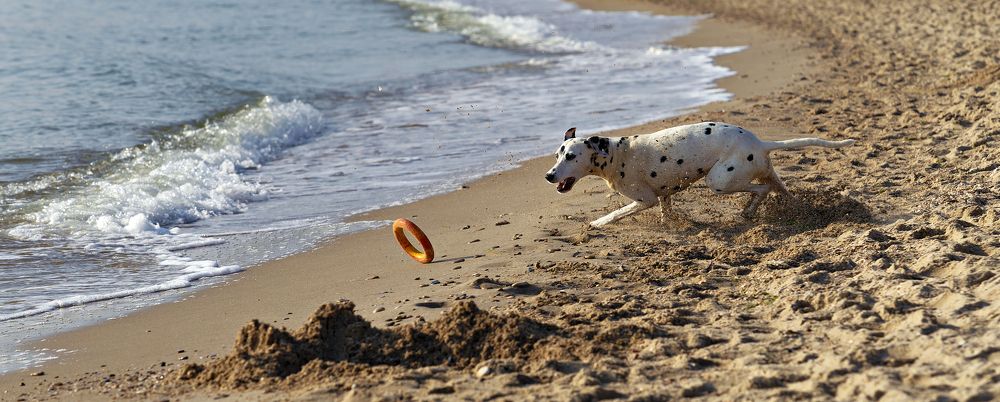 Photograph by Oksana Palanychka