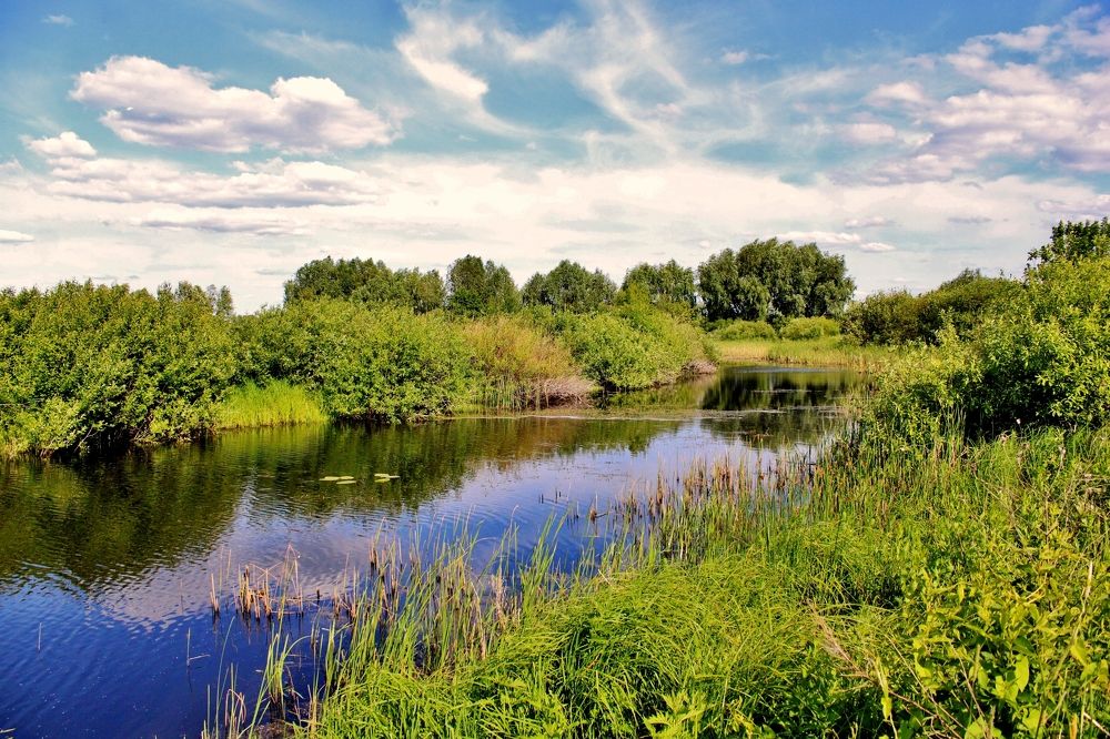 Photograph by Анна Восковых