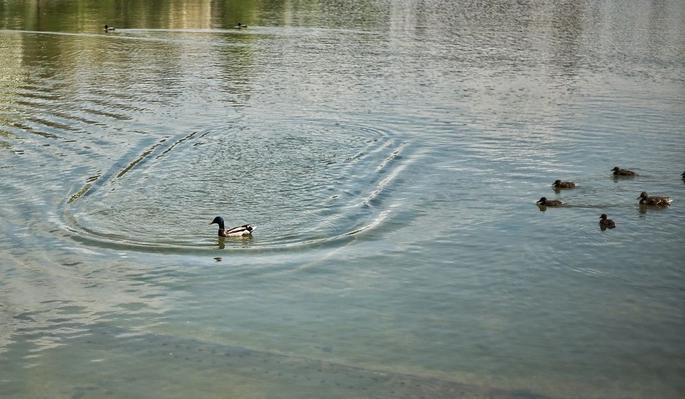 Photograph by Алсу Хусаинова