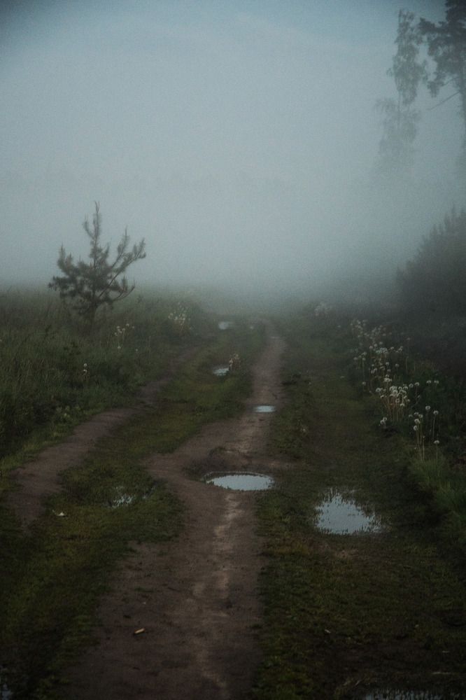 Photograph by Константин Власов