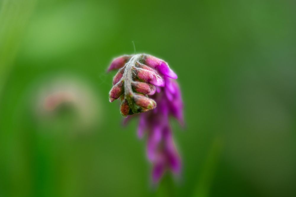 Photograph by Юрий Киреичев