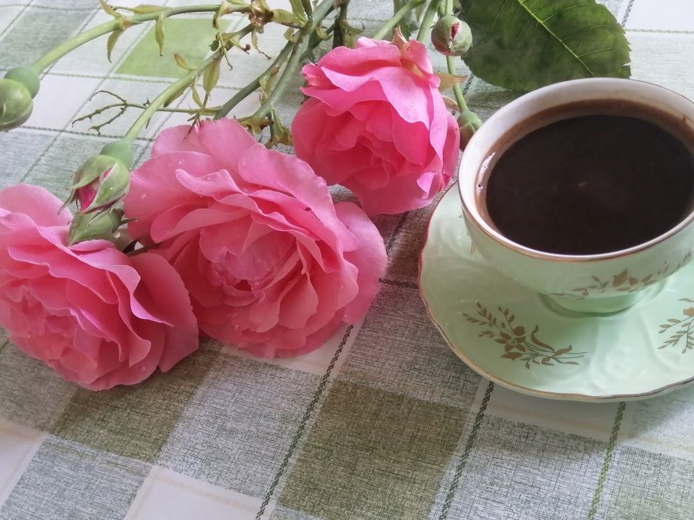 Photograph by Elena Avetikova