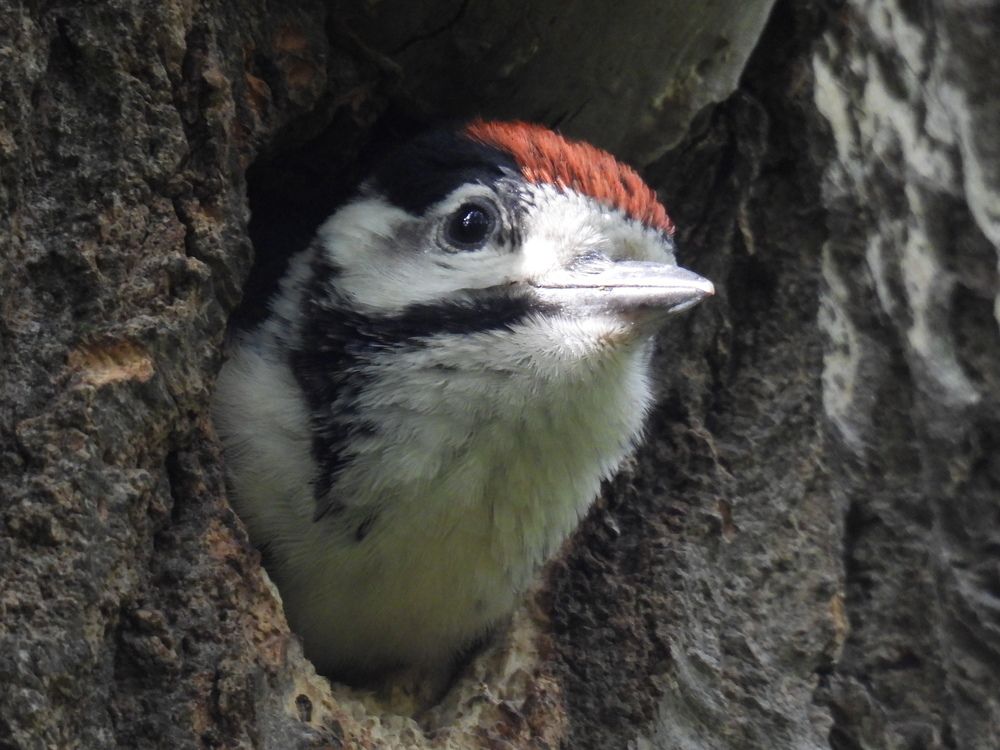 Photograph by Георгий Салюков