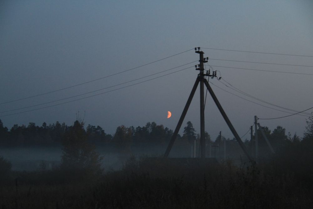 Фотография автора Анастасия Зверева