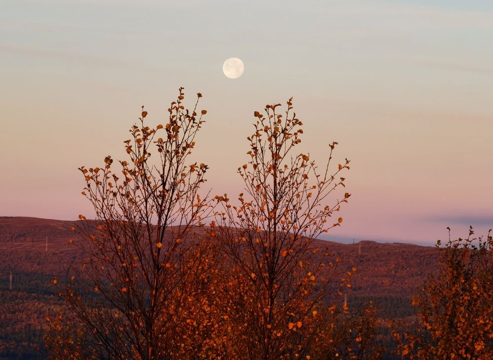 Photograph by Елена