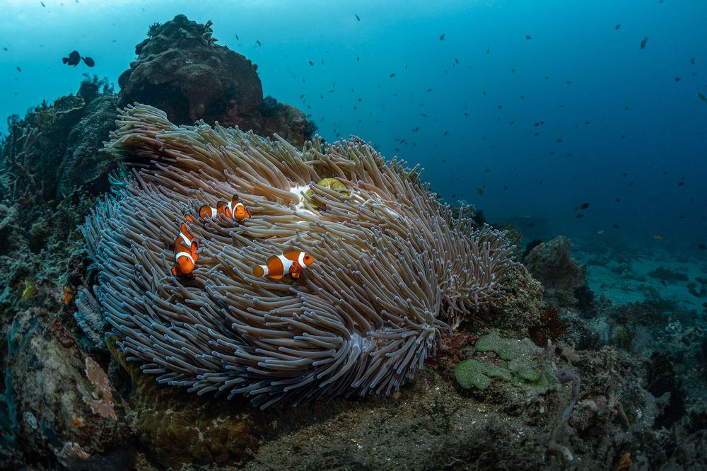 Photograph by Савин Андрей