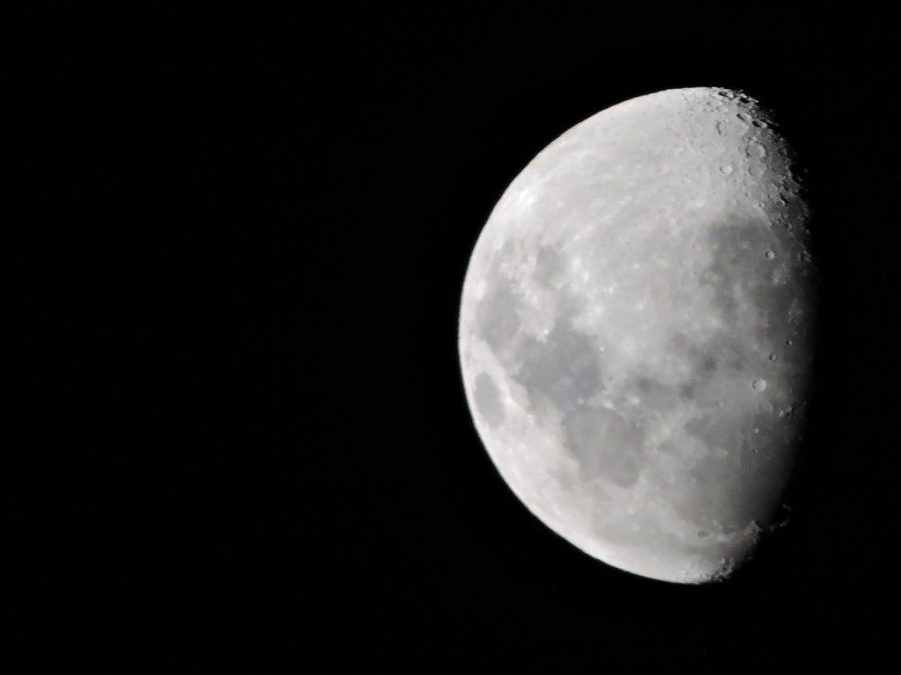 Photo #9204600