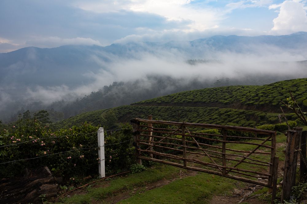 Photograph by Sadhiq Mohammad